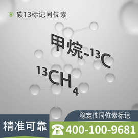 碳13/碳13甲烷/13c/ch4/同位素/同位素标记/稳定性同位素/气体