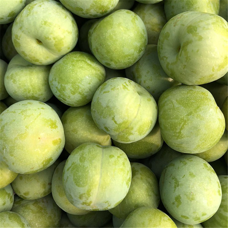 【现货5斤】四川脱骨李青脆李新鲜当季孕妇水果现摘空心李子