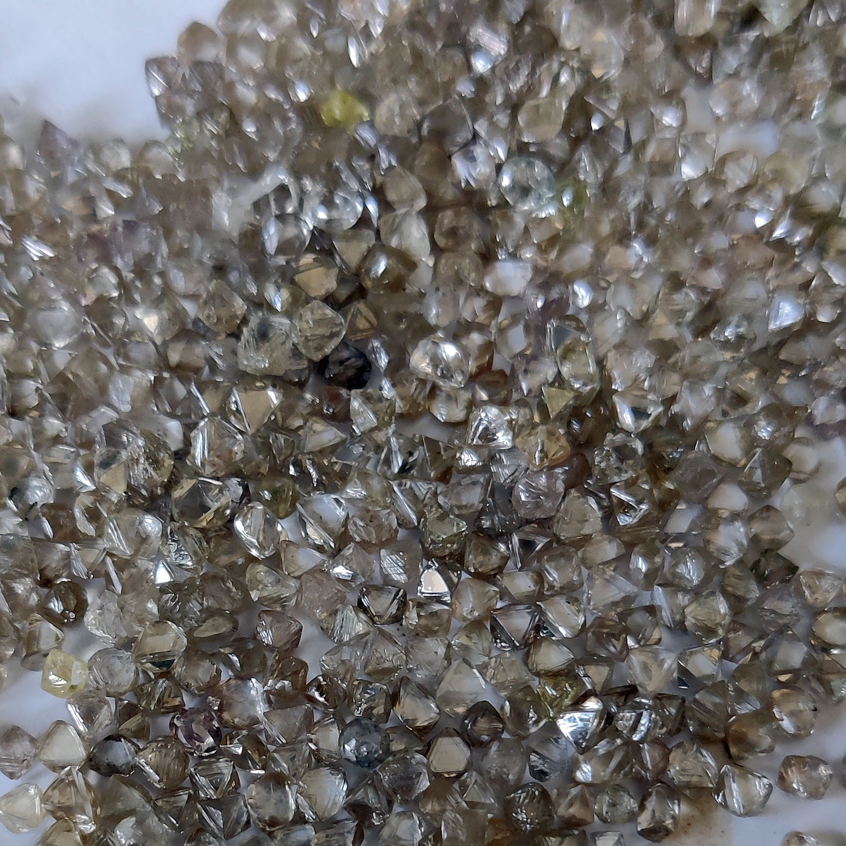 20-50分天然八面体钻石工业金刚石毛坯钻一克拉2到5粒