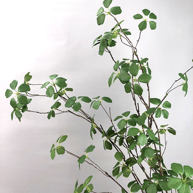 观音莲叶长藤室内绿植装饰藤蔓空间陈列婚庆造景简约禅意植物藤蔓