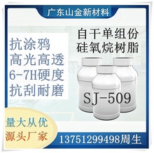 SJ-509抗涂鸦防护光油硬度高6-8H抗刮防污漆罩面玻璃硅氧烷树脂