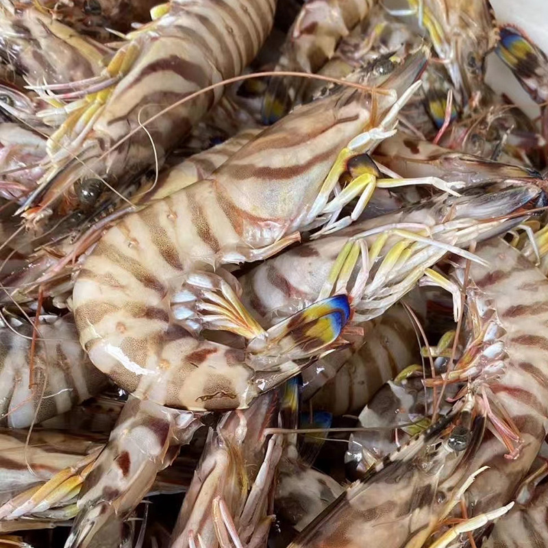 舟山黑虎虾野生大基围虾竹节虾斑节虾九节虾日本对虾液氮速冻海鲜