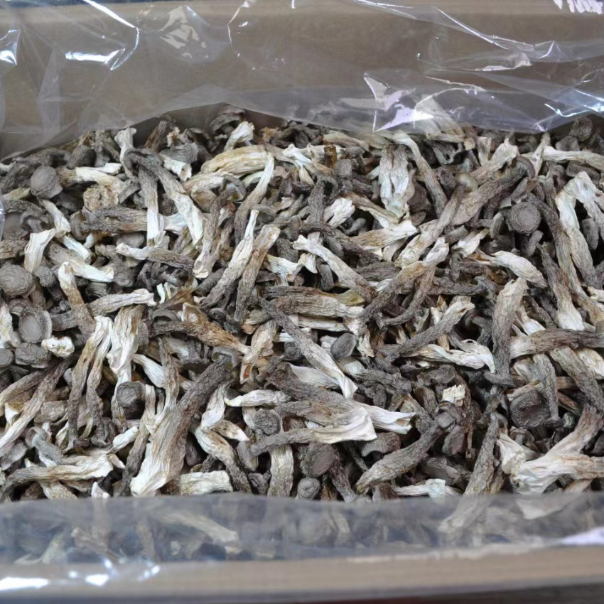 鹿茸菇干货500g新货鹿茸菇菌菇蘑菇干香菇类菌类煲汤食材干货批发