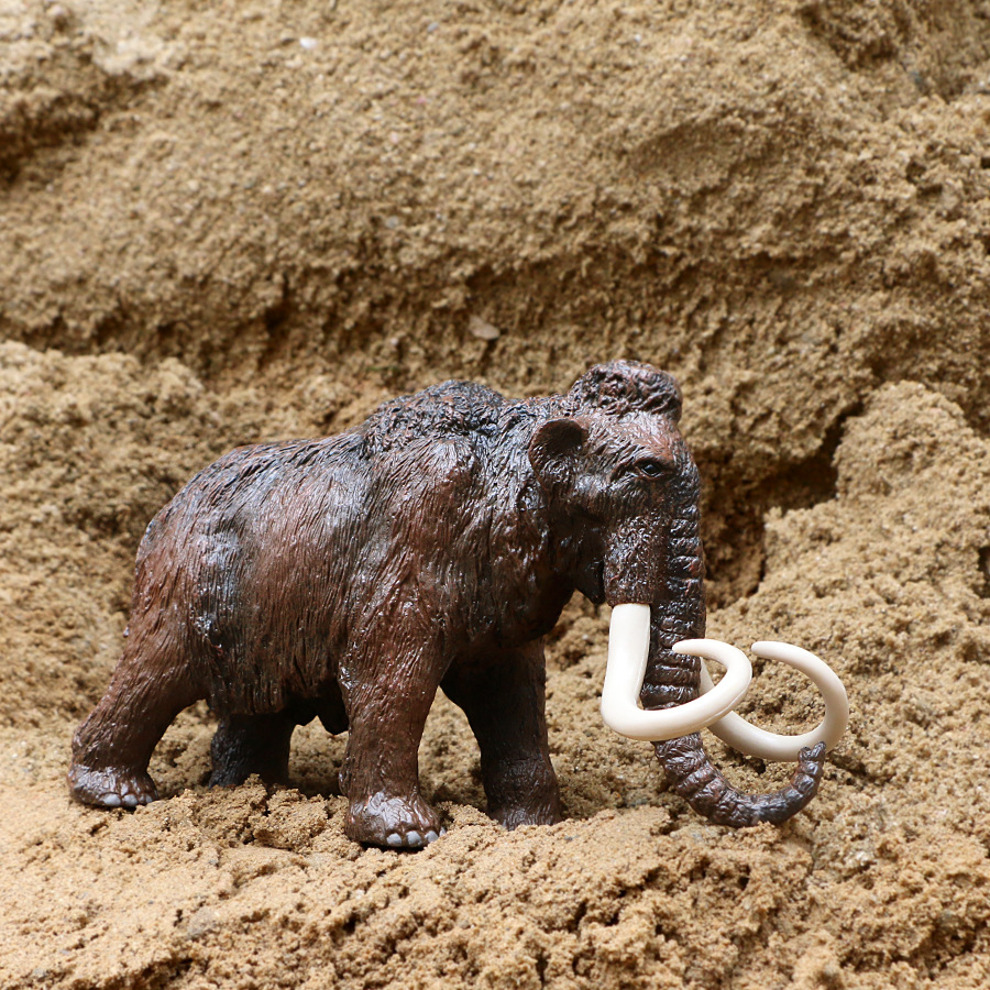 仿真非洲大象大号猛犸象母象公象动物模型亚洲象实心搪胶手办摆件
