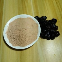 食品级黑枣粉 食品原料 食用黑枣粉 现货供应
