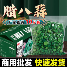 代发山东腊八蒜糖蒜糖醋蒜咸菜下饭菜大蒜头泡箱装商用净重60%