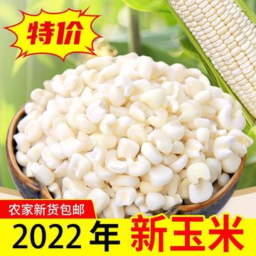 广西忻城糯玉米头珍珠玉米碎白玉米碴子干玉米脱皮苞谷粒煮粥糖水