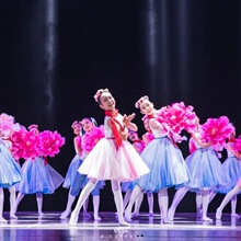 六一元旦舞蹈服小荷风采成长在祖国的怀抱里儿童演出服女童合唱服