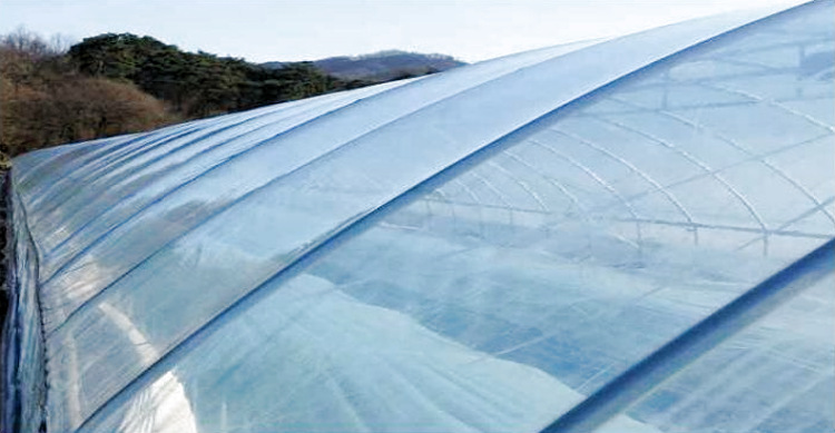直供农用塑料薄膜加宽加厚黑白膜温室养殖大棚膜保温遮光薄