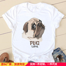 Women T-shirts Dig Face Pug 2023 Ladies Fashion Clothing Sho