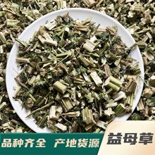 益母草500克〖成胜药业〗 中药材多种规格产地供应