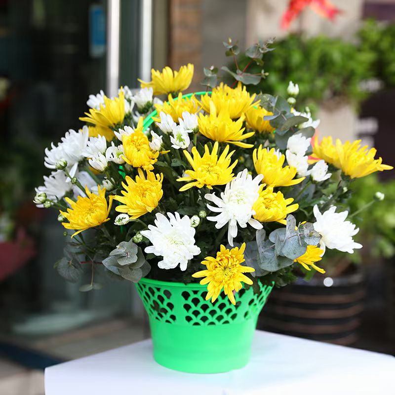 清明节手提花篮上坟扫墓祭祀花篮菊花插花手提篮礼品水果花篮批发