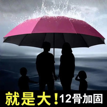 十二骨超大号雨伞大号三折叠男女商务伞三人睛两用抗暴风雨太阳伞