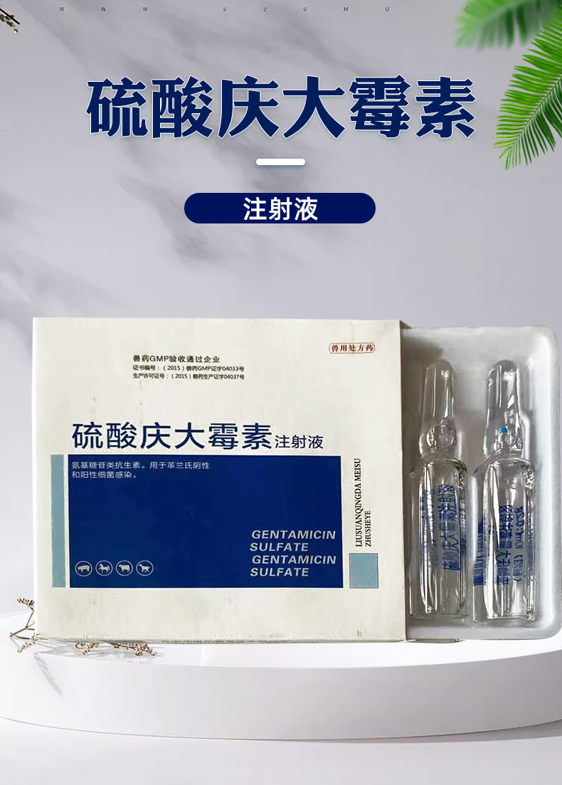 兽用庆大霉素注射液 20万单位庆大针常规兽药批发现货10毫升*5支