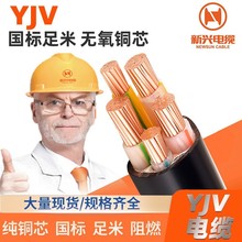 供应广州新兴电缆 阻燃国标纯铜芯YJV铠装电缆线南方电网专用品牌