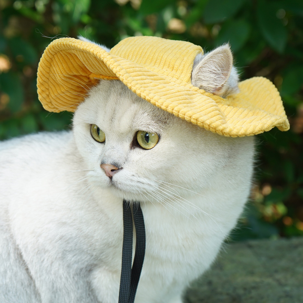 Cute Cute Pet Bucket Hat Sunshade Exposed Ear Cat Dog Bucket Hat Pet Cross-Border Hot Selling Pet Hat