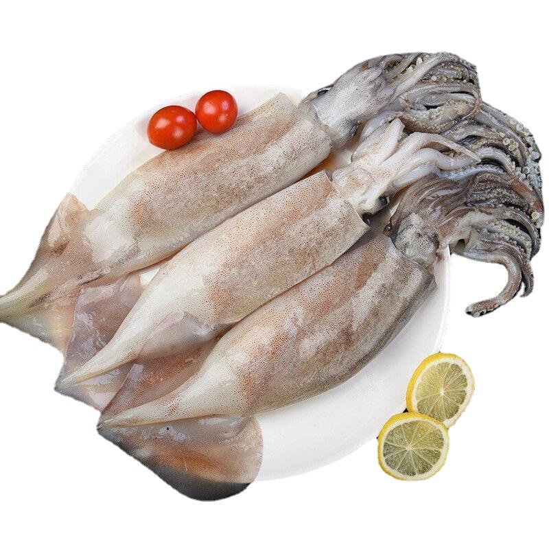 鲜活深海捕冷冻水产新鲜大鱿鱼尤鱼整条烧烤批发
