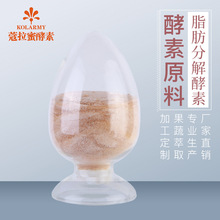 蔻拉蜜脂肪分解酵素原料原装进口台湾酵素粉综合果蔬孝素固体饮料