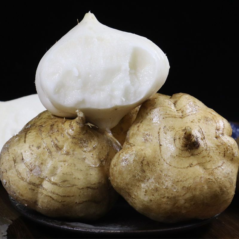 广西农家新鲜白凉薯10斤特产地萝卜现挖地瓜白地瓜土瓜沙葛1斤5斤