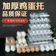 塑料透明鸡蛋托中号一次性鸡蛋包装盒鸭蛋鹌鹑蛋托盒厂家供应