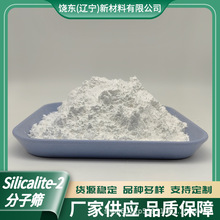 饶东 Silicalite-2沸石 原粉MEL型拓扑结构分子筛 择形性催化剂
