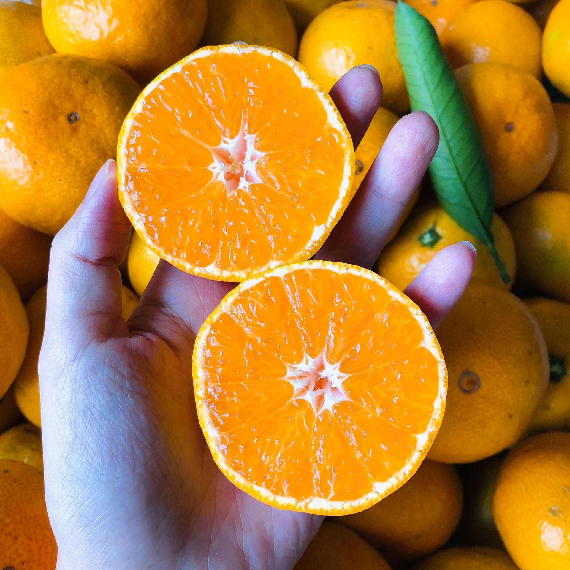 新鲜高山涌泉蜜桔浙江水果无核薄皮超甜橘子10斤整箱装