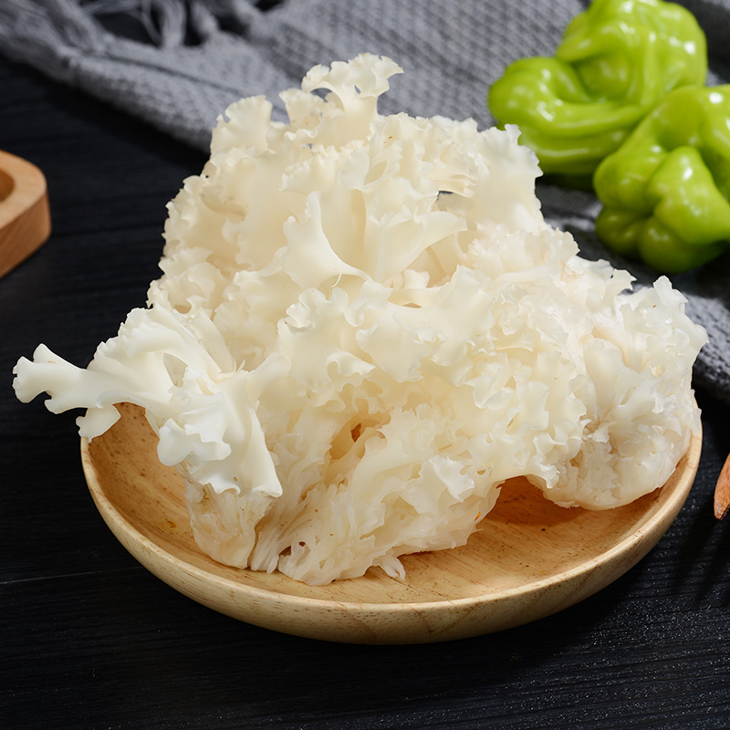 云南特产新鲜绣球菌绣球花餐饮生鲜食用菌煲汤食材菌子现货批发