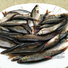 黑龙江柳根鱼河柳根鱼冷水鱼鲜活速冻东北特产1斤装包邮