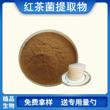 红茶菌提取物20:1 红茶菌粉  水溶性   1kg/袋