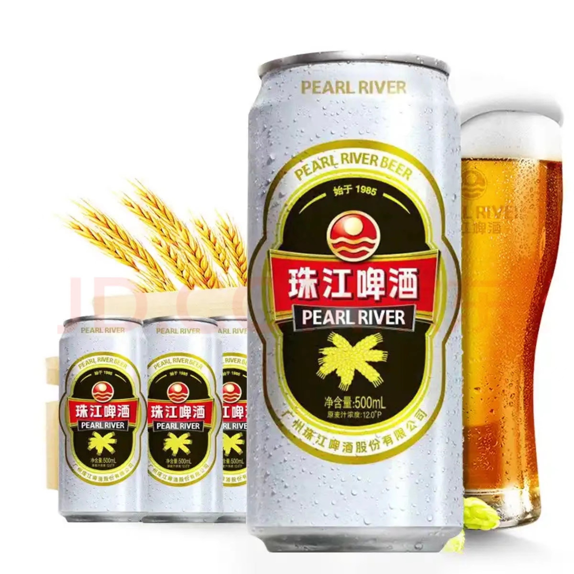 源头工厂珠江啤酒 12°p老珠江啤酒500ml*12罐 厂家直销批发