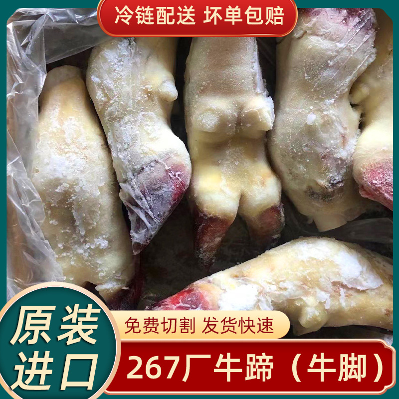 267厂牛蹄子牛脚冷冻批发 原装免费切割商用牛蹄尖牛脚-阿里巴巴