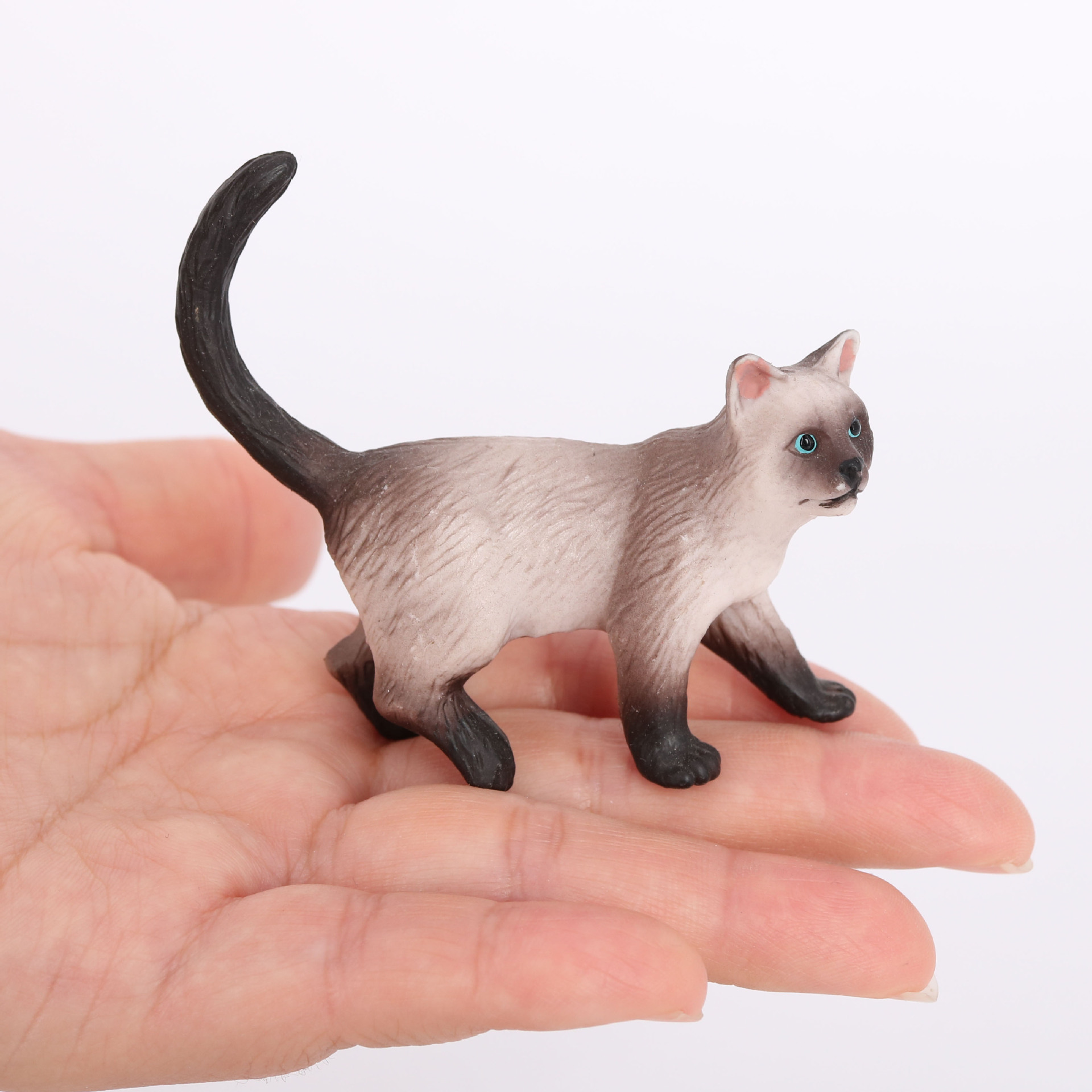 仿真动物猫模型布偶猫暹罗猫短毛猫小猫静态实心玩具模型摆件手办