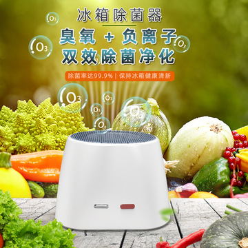 冰箱除味器臭氧消毒机除异味除臭氧祛菌消毒冰箱专用空气净化器