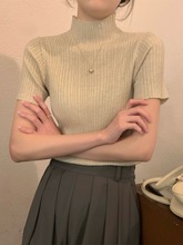 半高领针织衫女夏季2024新款坑条安迪绒打底衫设计感修身短款上衣