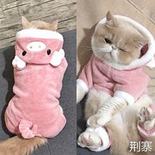 猫咪衣服冬装保暖狗狗布偶英短小猫宠物新年可爱搞笑防掉毛四脚衣