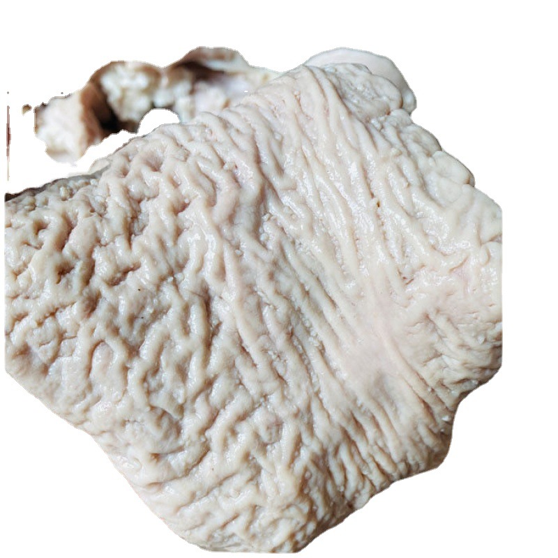 牛杂大量批发开水烫牛大肠头儿新鲜牛大肠牛肠属于牛下货跨境电商