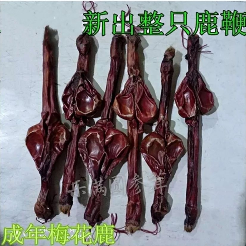 梅花鹿鹿鞭 7年鹿种鞭 整支鹿鞭泡酒130克左右 鉴定证书 送泡酒料