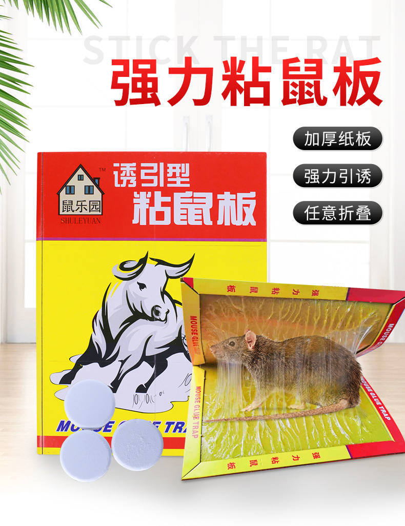 加厚粘鼠贴老鼠粄 强力胶老鼠贴纸板 引诱型老鼠贴老鼠粘粘鼠板
