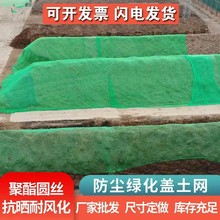 圆丝盖土网 批发聚乙烯2针4针6针建筑工地网绿色盖土网加密绿化网