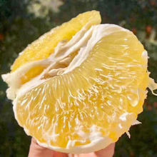 黄金西柚纯甜爆汁水果当季营养非南非红心箱装台湾葡萄柚子源工厂