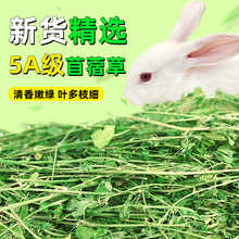 苜蓿草干草兔子幼兔零食食用兔粮烘干牧草荷兰猪龙猫饲料苜蓿草