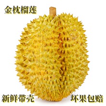 正宗泰国金枕头巴掌小榴莲新鲜孕妇水果顺丰包邮一整个箱带壳鲜果