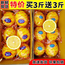 柠檬四川安岳大果新鲜水果应季黄柠檬产地直发批发多规格可选跨境