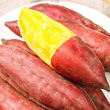 现挖广西红薯新鲜巴马蜜薯粉甜西瓜红番薯农家自种地瓜爆汁糖心薯