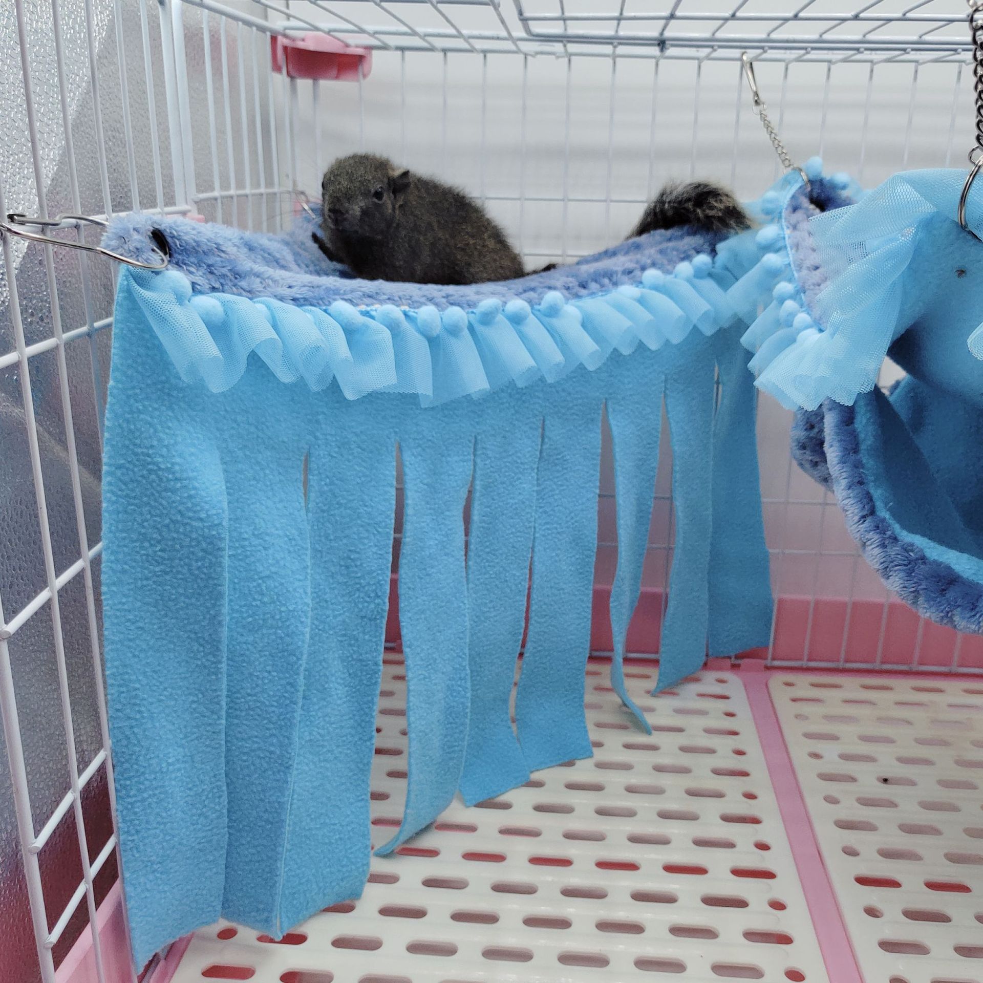 新款蕾丝花边宠物吊床仓鼠蜜袋鼯松鼠秋冬保暖用品豚鼠流苏躲避窝