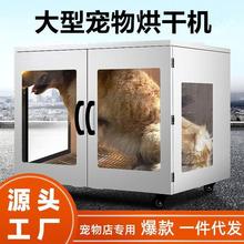 大型宠物烘干箱猫咪烘干机狗狗吹风机吹毛家用大型犬宠物店用