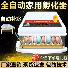 全自动智能小型小鸡/鸭/鹅/鹌鹑/鸽子家用孵蛋器/孵化机/孵化箱