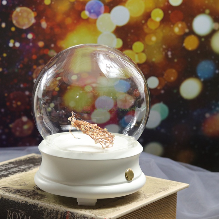 花蓝牙音响玻璃罩音乐盒花器摆件礼物等花来保鲜花材料包diy