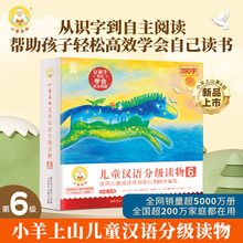 新品首发】小羊上山儿童汉语分级读物第六6级共10册3-7岁幼小衔接