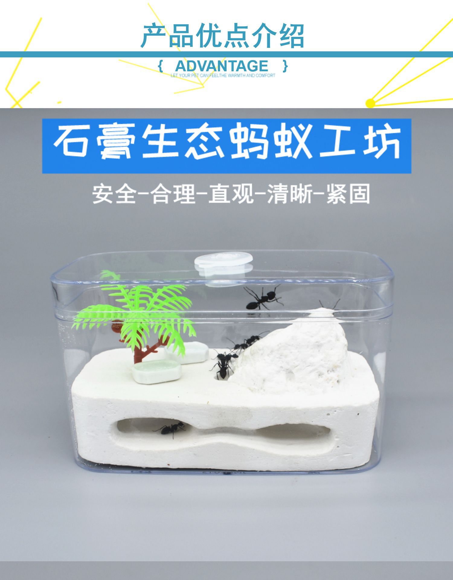 蚂蚁屋别墅家园城堡生态箱学生蚁巢工厂活体弓背蚁后盒子蚂蚁工坊